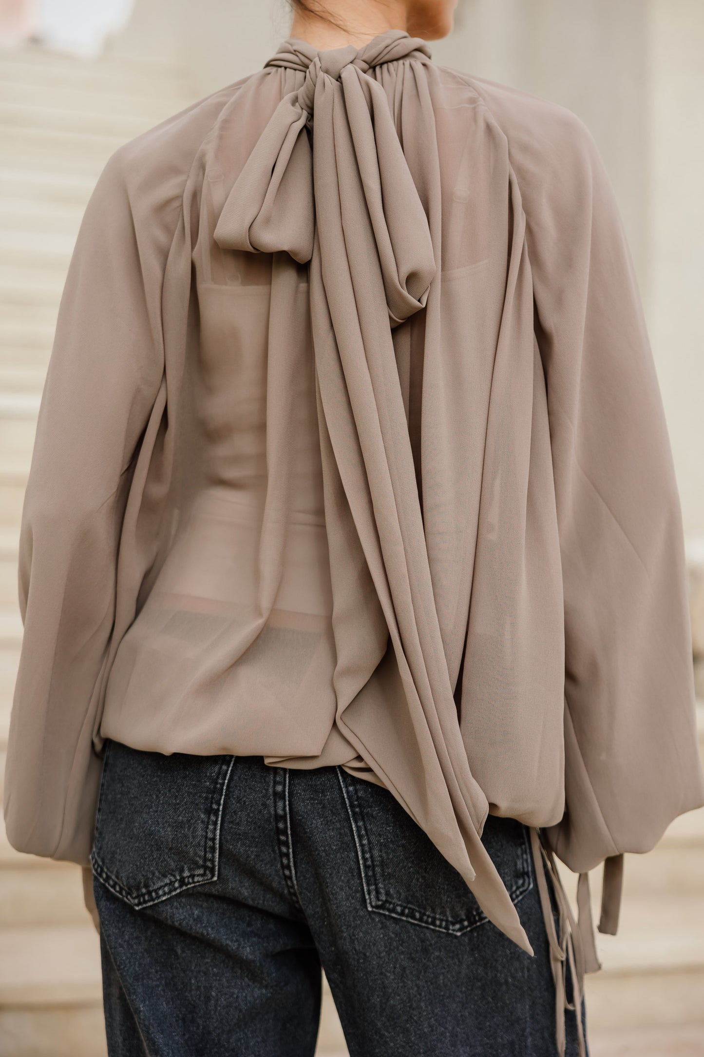 Sheer Ruffles Top